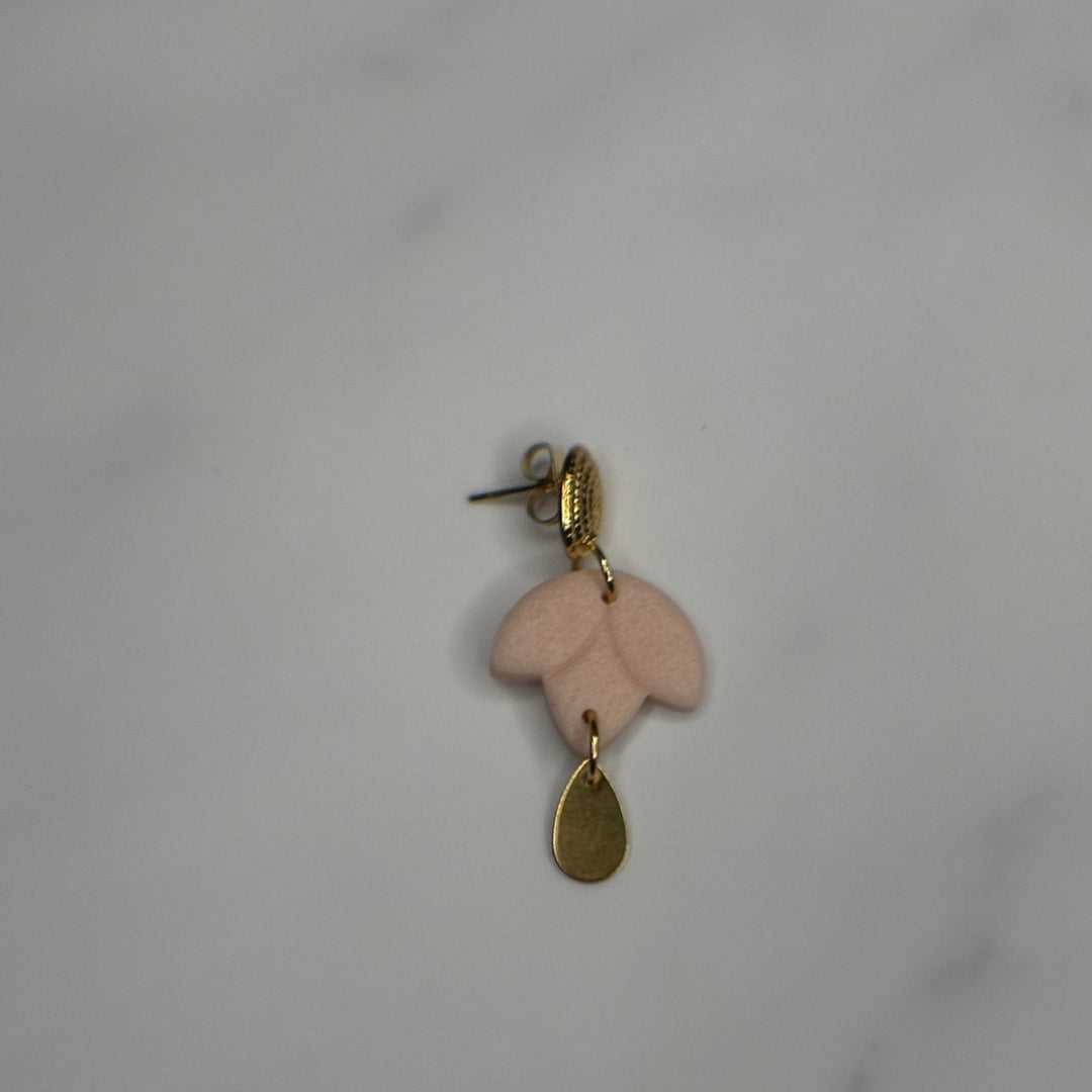 Daisy Drop - Blossoms Beauty