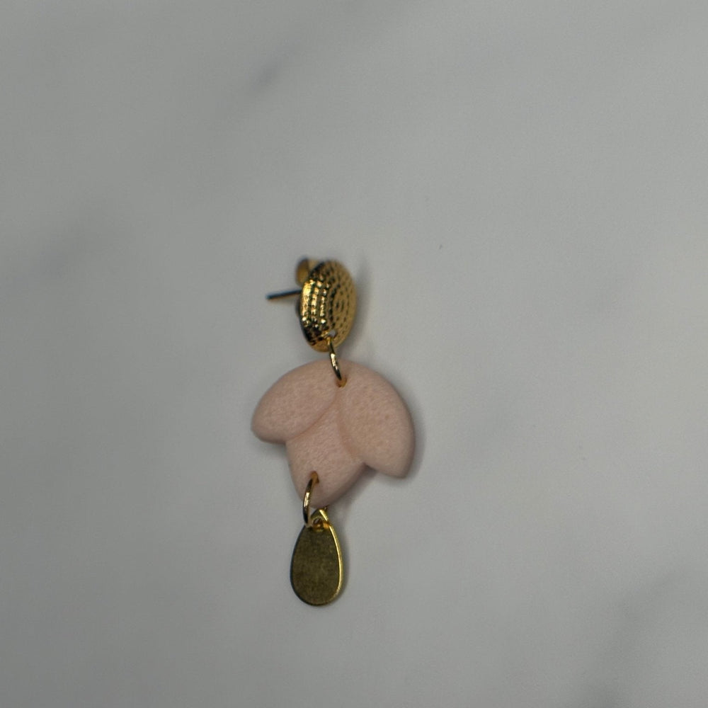 Daisy Drop - Blossoms Beauty