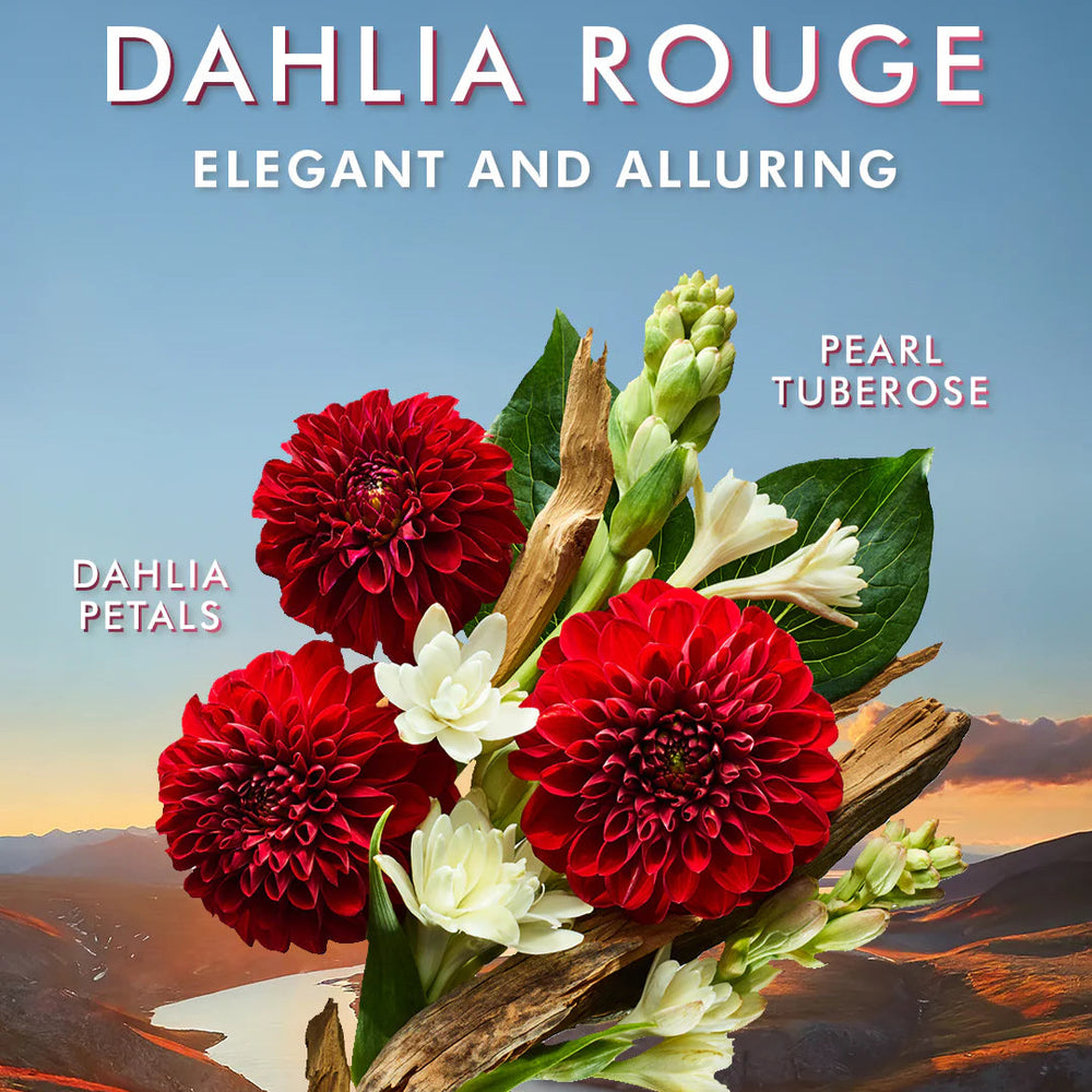Dahlia Rouge
