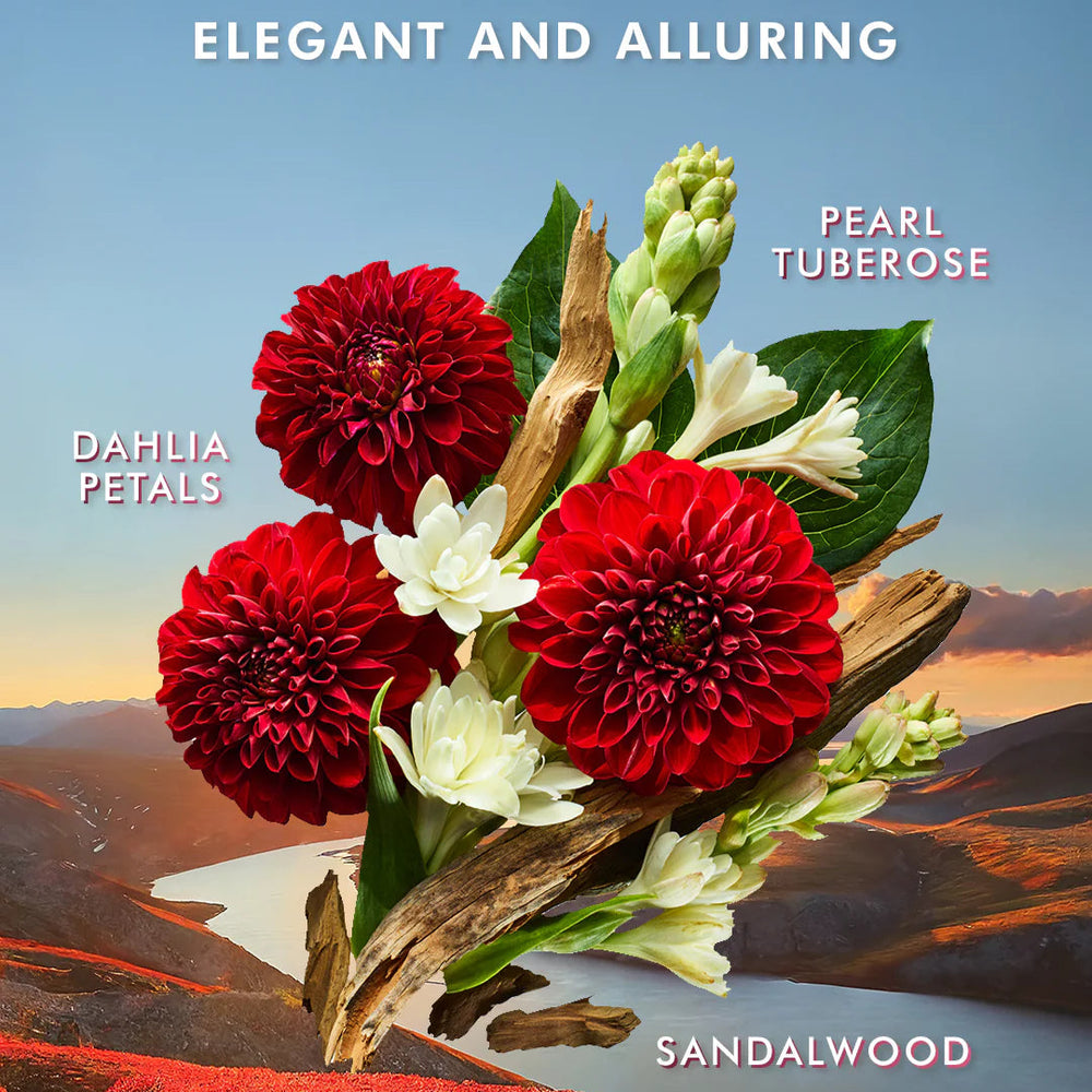 Dahlia rouge